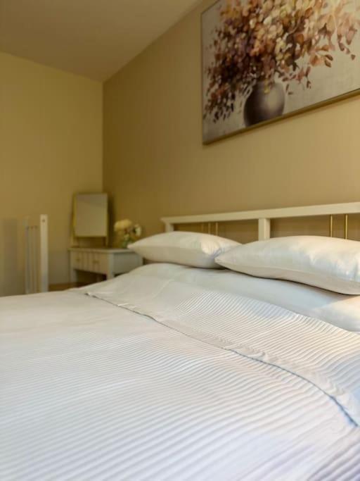 Stylish 2 Bedrooms Flat In A Quiet Cul-De-Sac Area, Near Sheffield City Centre With Free Parking מראה חיצוני תמונה